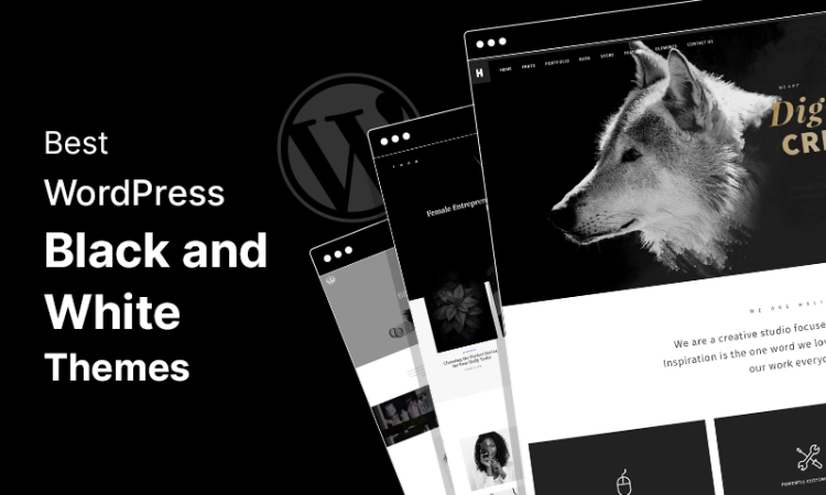 12 Best Black & White WordPress Themes