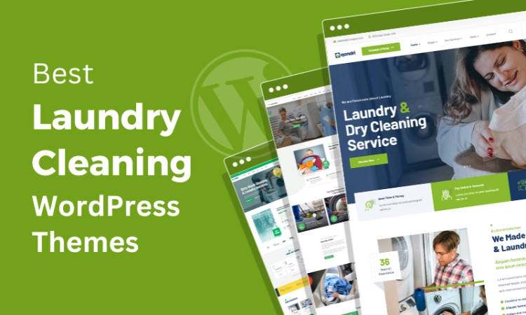 Best Laundry WordPress Themes