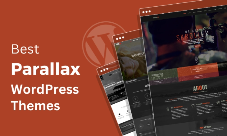 12 Best Parallax WordPress Themes