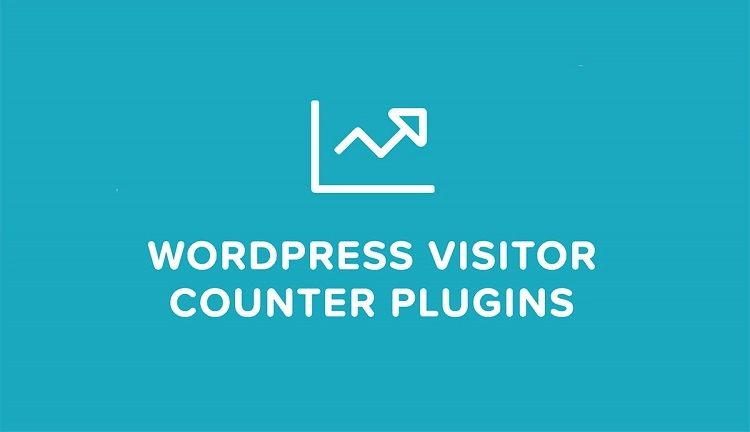 Best Visitor Counter WordPress Plugins