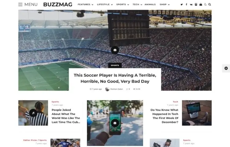 BuzzMag