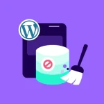 Clean Up WordPress Database