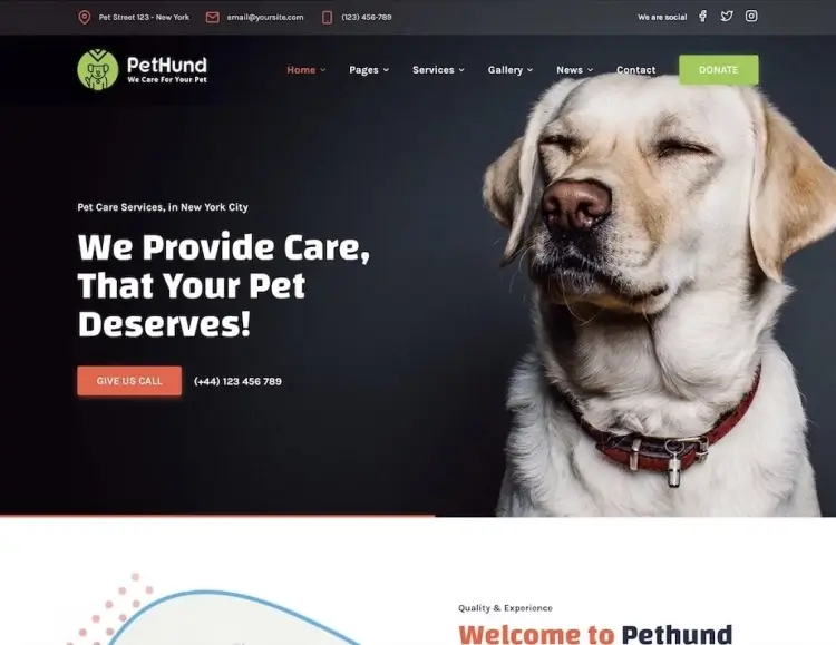 Pet Hund