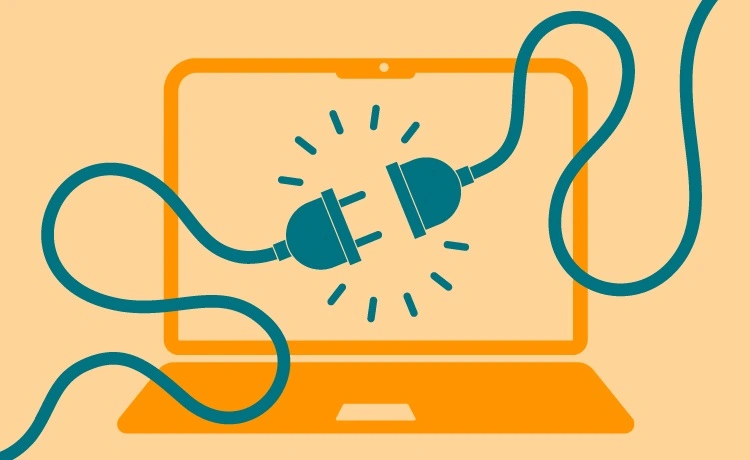 Plugin Conflicts