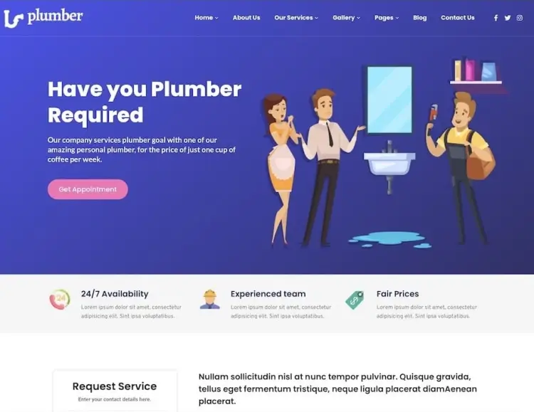 Plumber Pro
