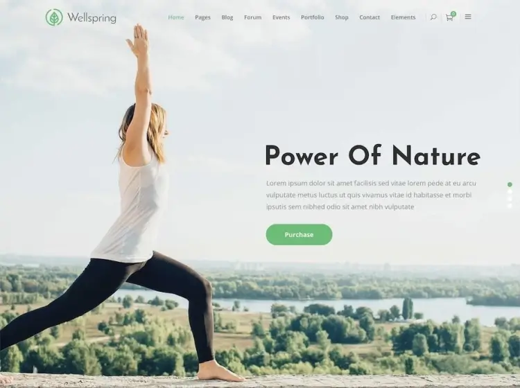 Wellspring