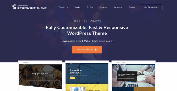 Responsive Theme: Lightweight, Flexible & Ready for Anything
